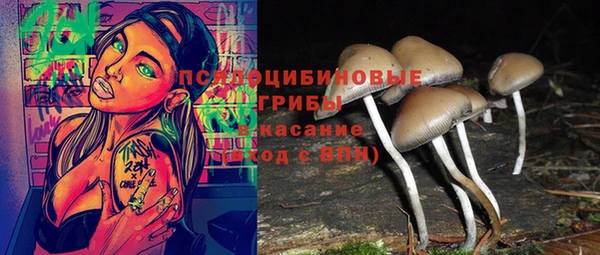мяу мяу мука Балахна