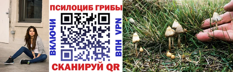 Галлюциногенные грибы ЛСД  blacksprut ссылка  Покровск 